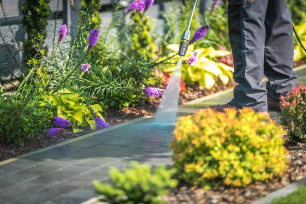 Best Deck and Patio Pressure Washing in Lopezville, TX