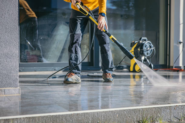 Best Driveway Cleaning and Restoration in Lopezville, TX