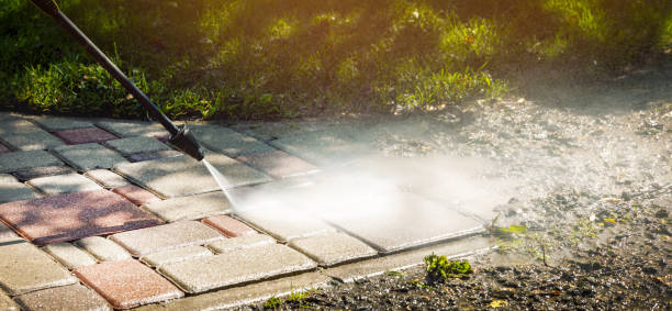 Reliable Lopezville, TX Pressure Washing Services Solutions